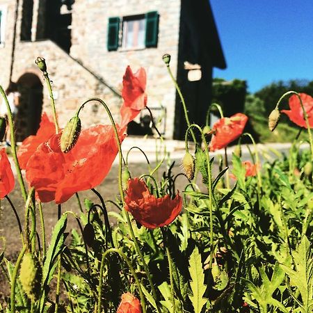 Agriturismo Angio Nel Cere Bracelli Luaran gambar