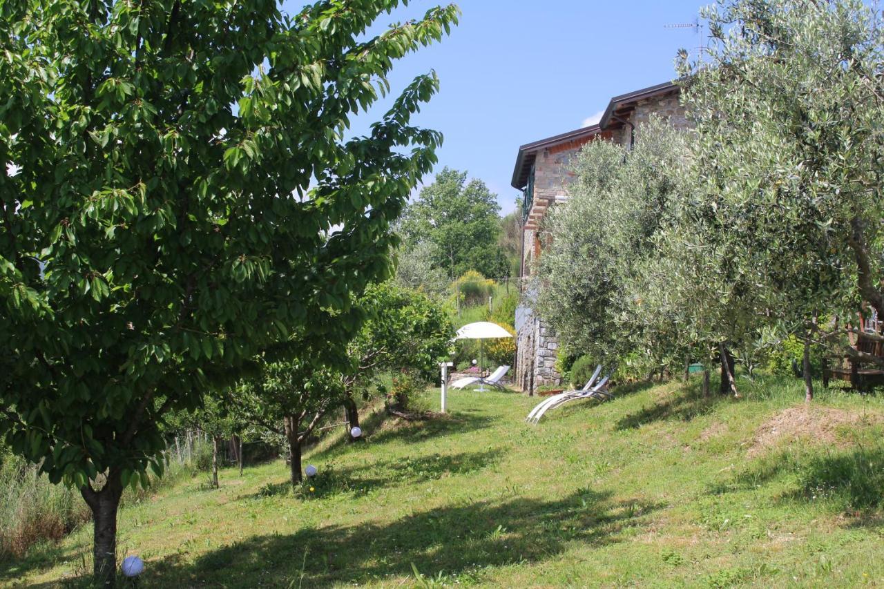 Agriturismo Angio Nel Cere Bracelli Luaran gambar
