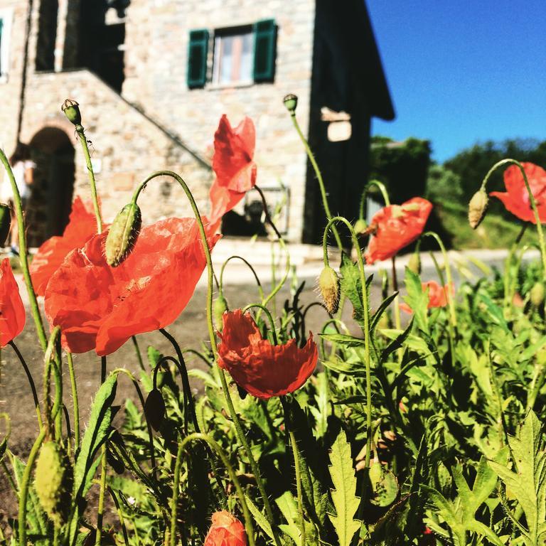 Agriturismo Angio Nel Cere Bracelli Luaran gambar