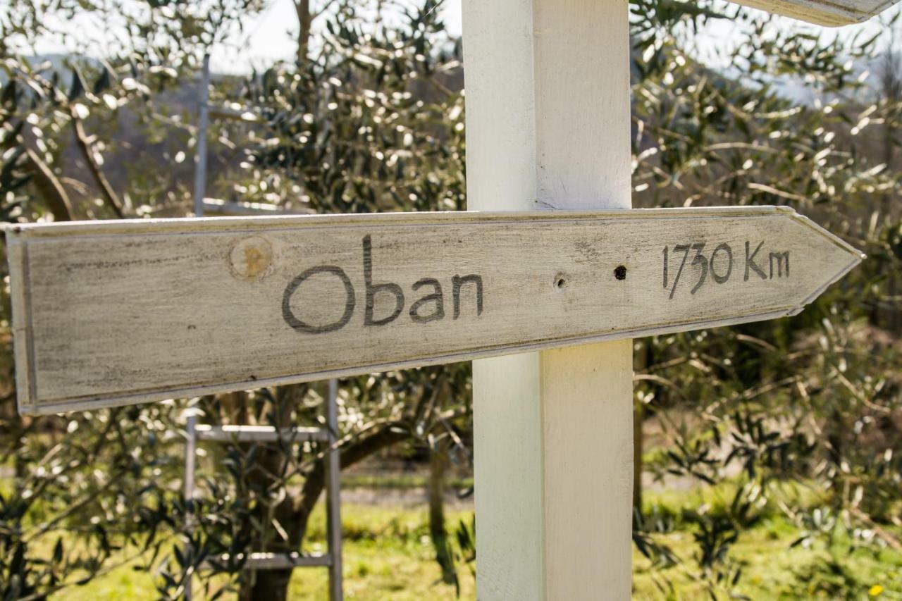 Agriturismo Angio Nel Cere Bracelli Luaran gambar