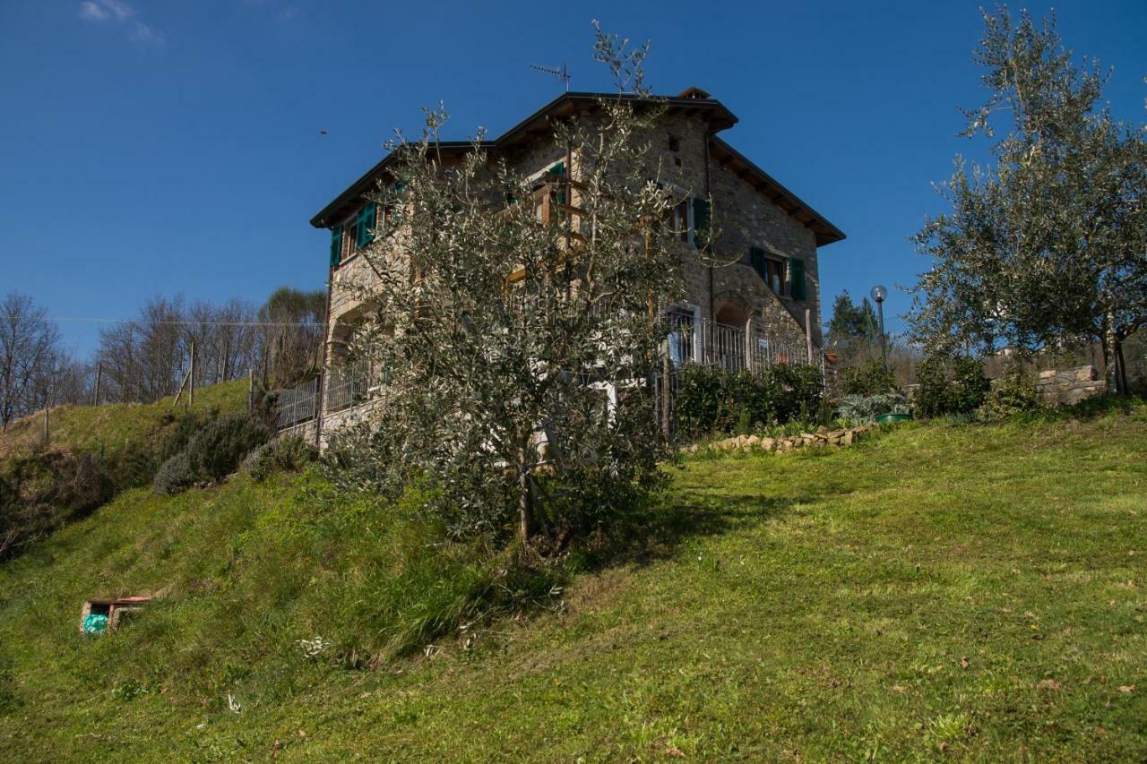 Agriturismo Angio Nel Cere Bracelli Luaran gambar