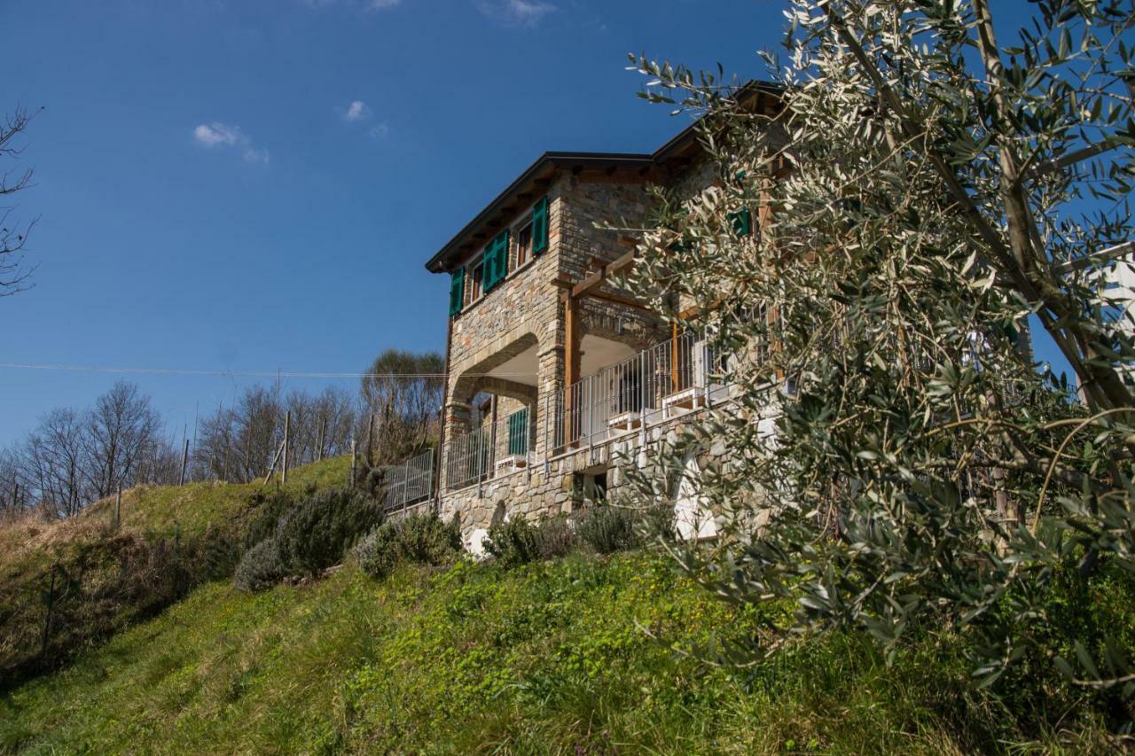Agriturismo Angio Nel Cere Bracelli Luaran gambar
