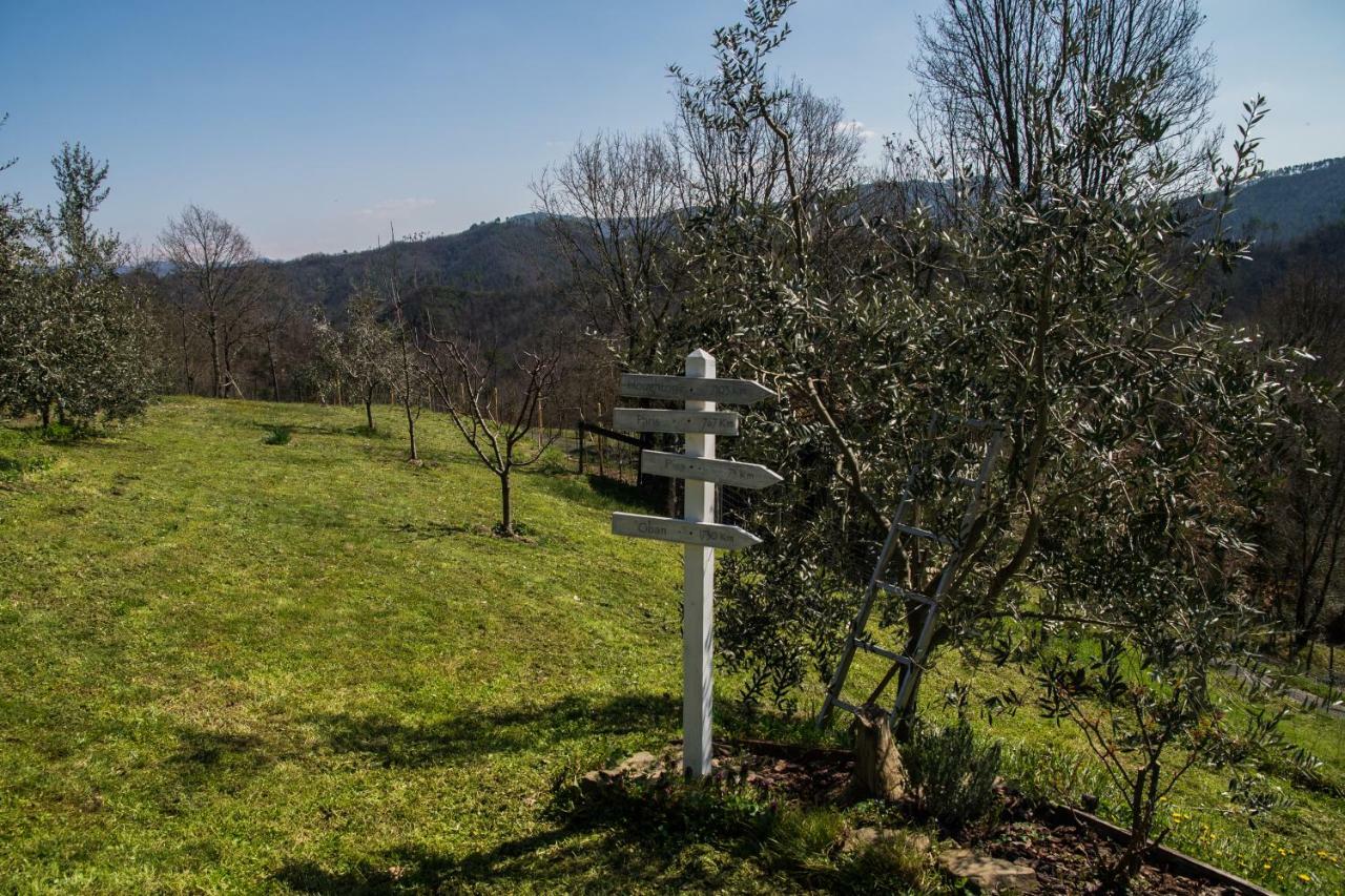 Agriturismo Angio Nel Cere Bracelli Luaran gambar